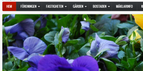 Webbsida 21 mars 2016