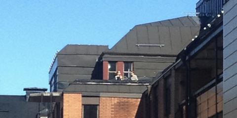 Sol på taket
