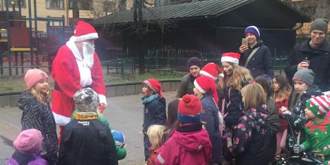 tomte 2018