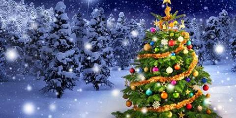 Julbild