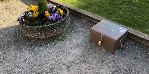 Pétanque