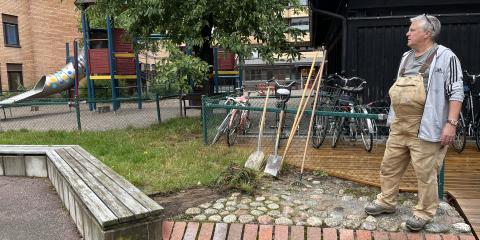 Ängplantering