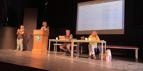 Föreningsstämma