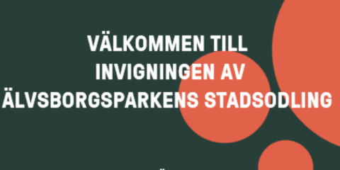 Stadsodling
