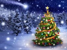 Julbild