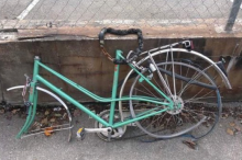 risigcykel