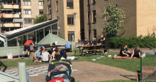 Vårfika