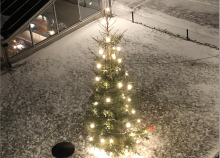 Julgran