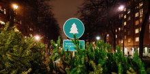 Julgransinsamling